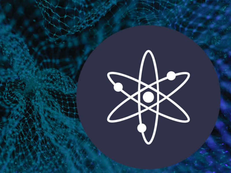 Cosmos June Developments